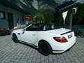 Mercedes-Benz SLK 55 AMG SLK 55 AMG Aut. AMG Weiß - thumbnail 6