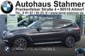 BMW X3 xDrive20d xLine Head-Up DAB LED RFK Shz PDC Gris - thumbnail 1