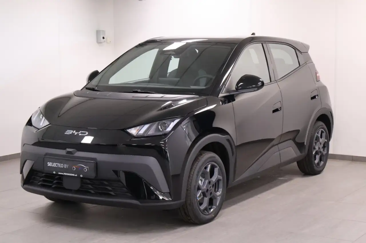 BYD Dolphin surf