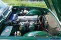 Triumph TR6 Soft Top / body-off restored / spoke wheels Verde - thumbnail 15