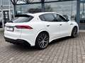 Maserati Grecale Trofeo MY24 inkl. Winterreifen+Wartung* Blanc - thumbnail 6