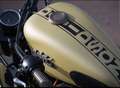 Harley-Davidson Sportster XR 1200 Harley-Davidson Sportster XL1200CX Chopper Goud - thumbnail 5