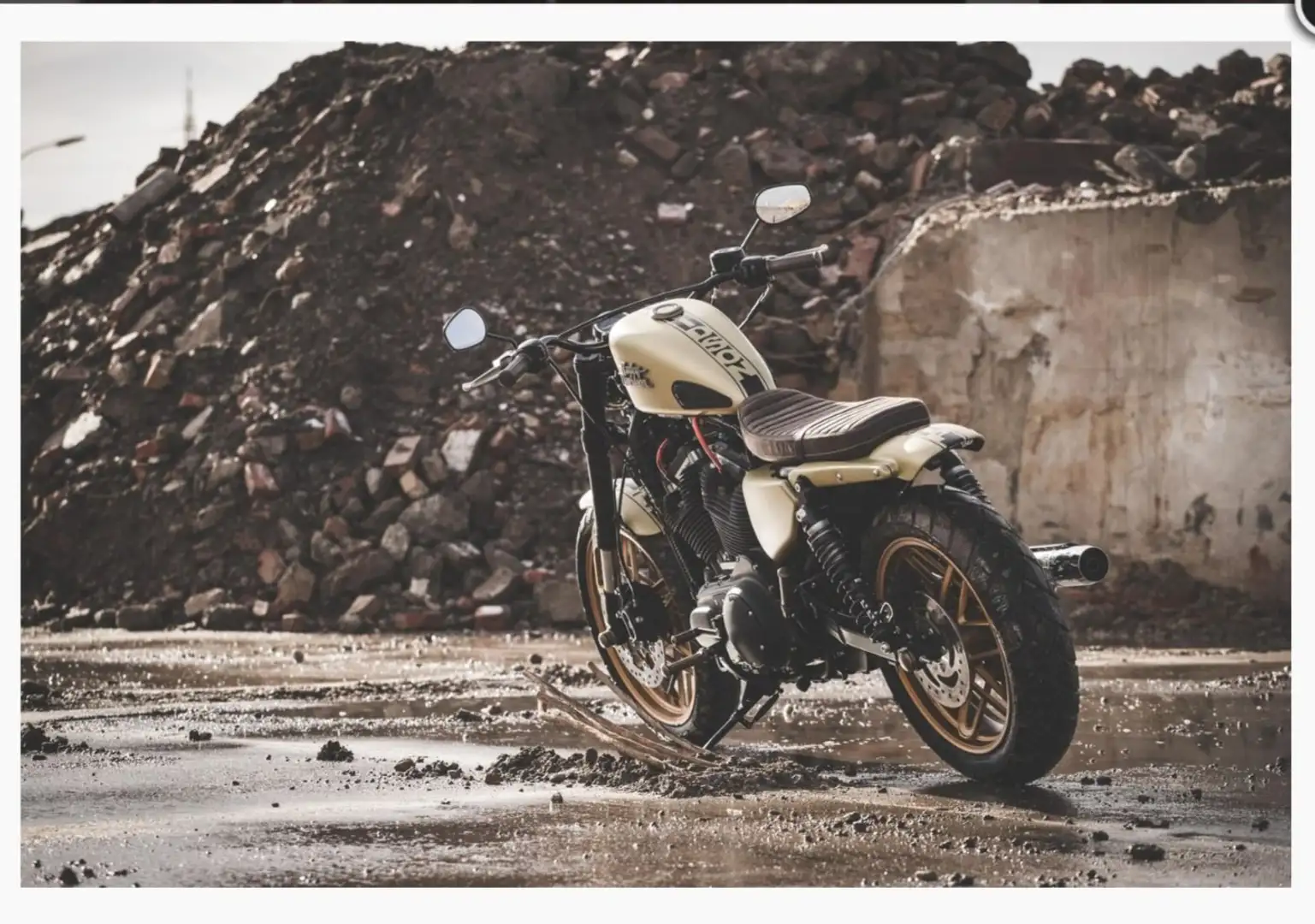 Harley-Davidson Sportster XR 1200 Harley-Davidson Sportster XL1200CX Chopper Goud - 2