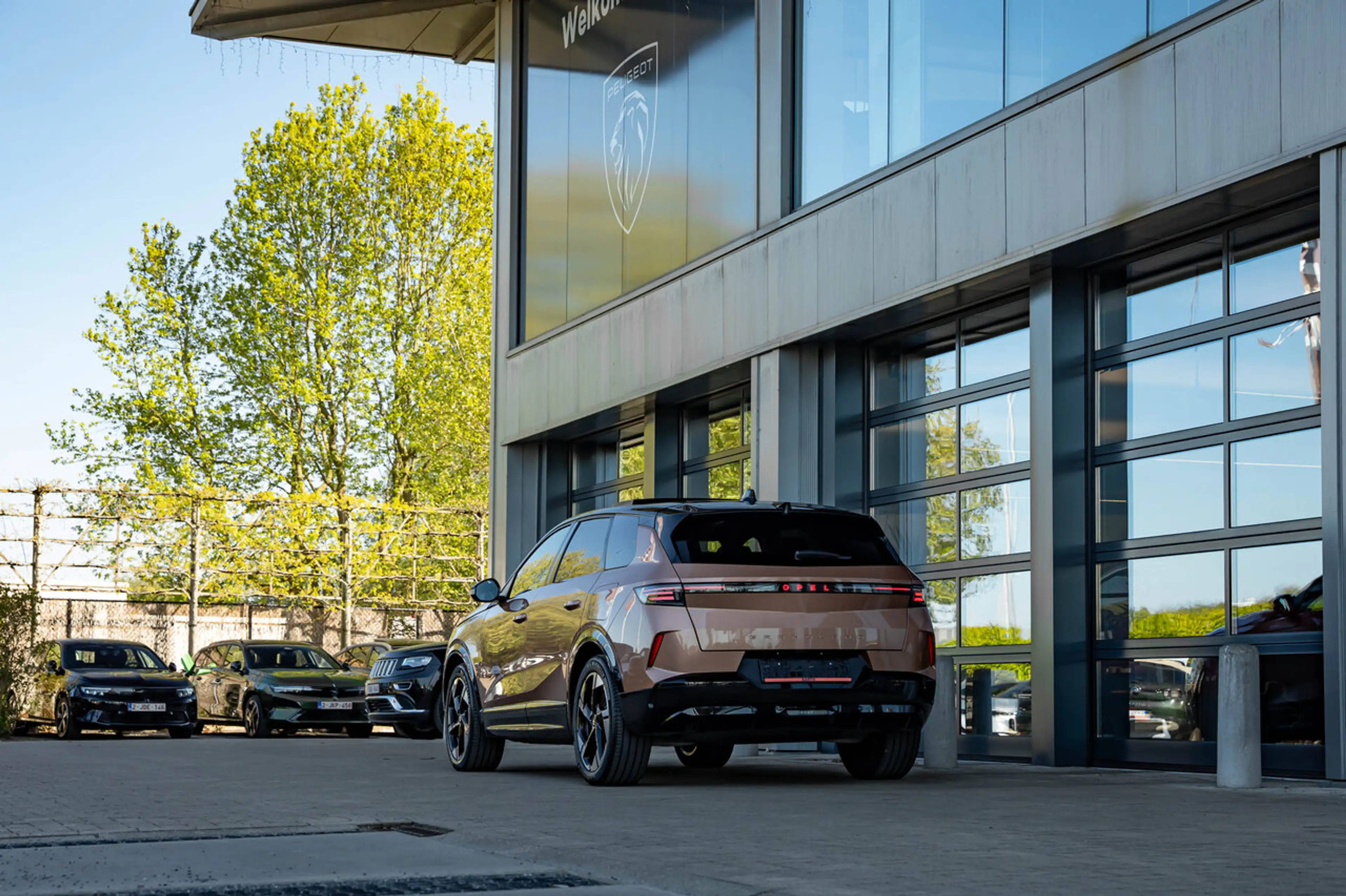 Opel Grandland Electr. 213 PK | Ultimate | Pano | Leder | 360°... — photo 8