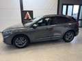 Ford Kuga 1.5 ecoblue ST-Line 2wd 120cv- AUTOCARRO Grijs - thumbnail 31