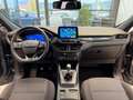 Ford Kuga 1.5 ecoblue ST-Line 2wd 120cv- AUTOCARRO Grigio - thumbnail 13