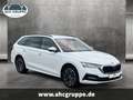 Skoda Octavia Combi Clever 1.5 ACT 110kW, Navi, WSS-Hzg, RFK, uv Blanc - thumbnail 2