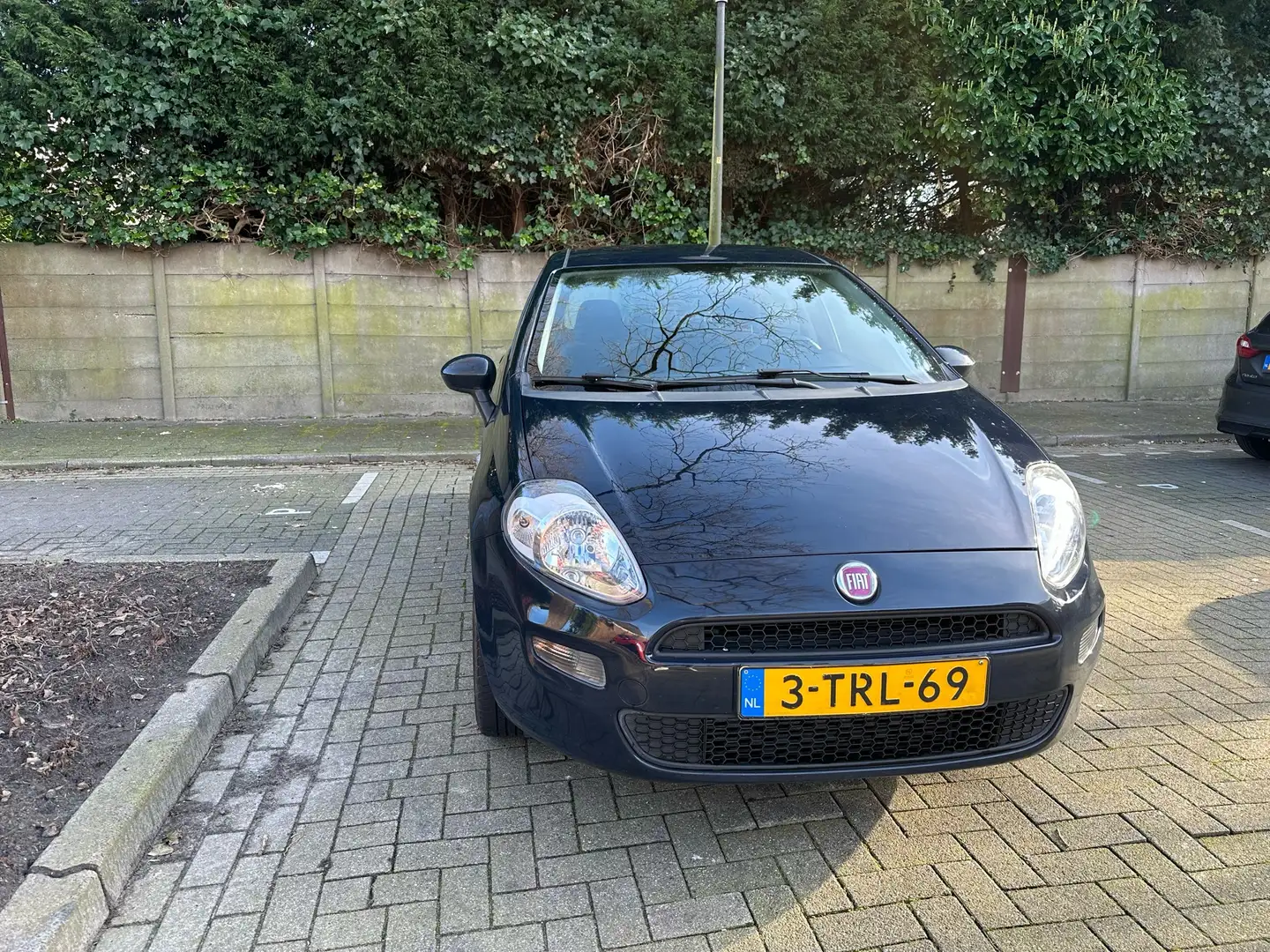 Fiat Punto 0.9 TwinAir Street Blauw - 1