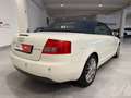 Audi A4 A4 Cabriolet Cabrio 2.5 V6 tdi 163cv Blanc - thumbnail 4