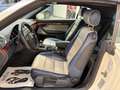 Audi A4 A4 Cabriolet Cabrio 2.5 V6 tdi 163cv Blanc - thumbnail 10