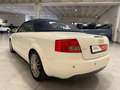 Audi A4 A4 Cabriolet Cabrio 2.5 V6 tdi 163cv Blanc - thumbnail 6