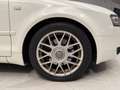 Audi A4 A4 Cabriolet Cabrio 2.5 V6 tdi 163cv Blanc - thumbnail 8