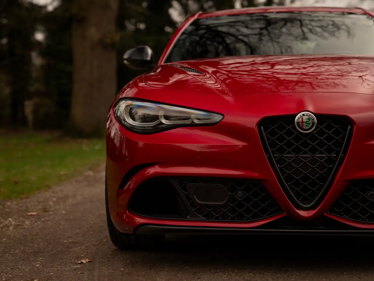 Alfa Romeo Giulia 2025 — фото 20