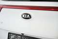 Kia Sportage 1.6 CRDI 136 HK MHEV EDITION DCT Pickerl NEU Weiß - thumbnail 13