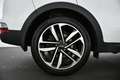 Kia Sportage 1.6 CRDI 136 HK MHEV EDITION DCT Pickerl NEU Weiß - thumbnail 16