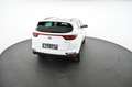 Kia Sportage 1.6 CRDI 136 HK MHEV EDITION DCT Pickerl NEU Weiß - thumbnail 12