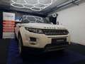 Land Rover Range Rover Evoque Pure Weiß - thumbnail 2