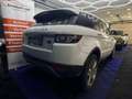 Land Rover Range Rover Evoque Pure Weiß - thumbnail 7