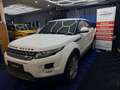 Land Rover Range Rover Evoque Pure Weiß - thumbnail 5