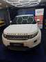 Land Rover Range Rover Evoque Pure Weiß - thumbnail 4