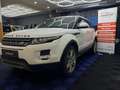 Land Rover Range Rover Evoque Pure Weiß - thumbnail 1