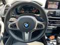 BMW X3 xDrive30d Advantage Head-Up DAB LED RFK Shz Gris - thumbnail 12