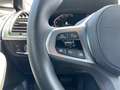 BMW X3 xDrive30d Advantage Head-Up DAB LED RFK Shz Grigio - thumbnail 13
