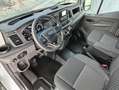 Ford Transit FT 350 Chasis Cabina 2.0 EcoBlue Heavy Dut Blanco - thumbnail 6