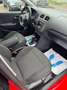 Volkswagen Polo *1.2TSI*Highline*AUTOMAT*SHZ*KLIMA*PDC*TOP Rot - thumbnail 13