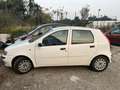 Fiat Punto 3p 1.2 Verve Bianco - thumbnail 1