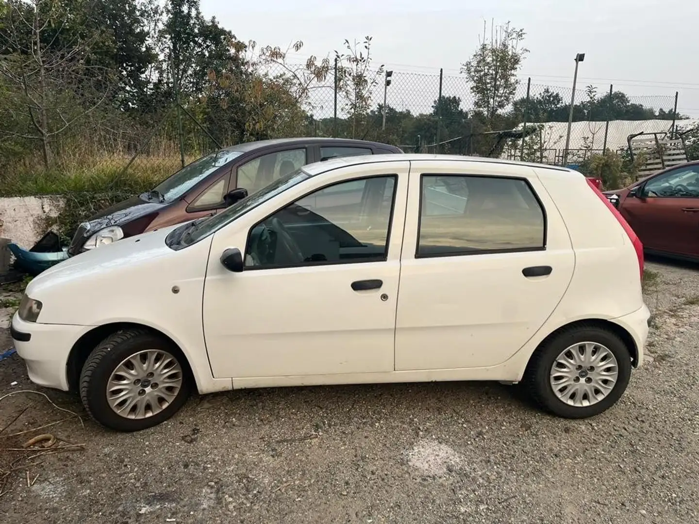 Fiat Punto 3p 1.2 Verve Bianco - 1