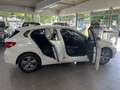 BMW 116 116d Lim. Advantage Alpin+Keyless+beheiz.Lenkrad Weiß - thumbnail 13