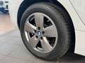 BMW 116 116d Lim. Advantage Alpin+Keyless+beheiz.Lenkrad Weiß - thumbnail 32