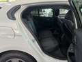 BMW 116 116d Lim. Advantage Alpin+Keyless+beheiz.Lenkrad Weiß - thumbnail 17