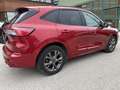 Ford Kuga 2.0 ecoblue mhev ST-Line X 2wd 150cv Rot - thumbnail 9