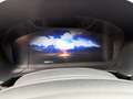 Ford Kuga 2.0 ecoblue mhev ST-Line X 2wd 150cv Rot - thumbnail 11