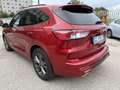 Ford Kuga 2.0 ecoblue mhev ST-Line X 2wd 150cv Rot - thumbnail 6