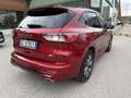 Ford Kuga 2.0 ecoblue mhev ST-Line X 2wd 150cv Rot - thumbnail 8
