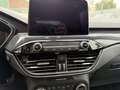 Ford Kuga 2.0 ecoblue mhev ST-Line X 2wd 150cv Rot - thumbnail 10