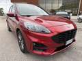 Ford Kuga 2.0 ecoblue mhev ST-Line X 2wd 150cv Rot - thumbnail 4