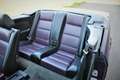 BMW 318 3-serie Cabrio 318i * Color Edition * Org NL auto Paars - thumbnail 14