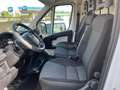 Fiat Ducato furgone H1 L1 ISOTERMICO Bianco - thumbnail 5