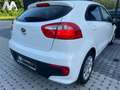 Kia Rio - 18.000km - Premier Proprietaire Blanc - thumbnail 10
