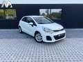 Kia Rio - 18.000km - Premier Proprietaire Blanc - thumbnail 3