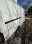 Ford Transit kühlwagen - thumbnail 9