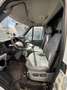 Ford Transit kühlwagen - thumbnail 4