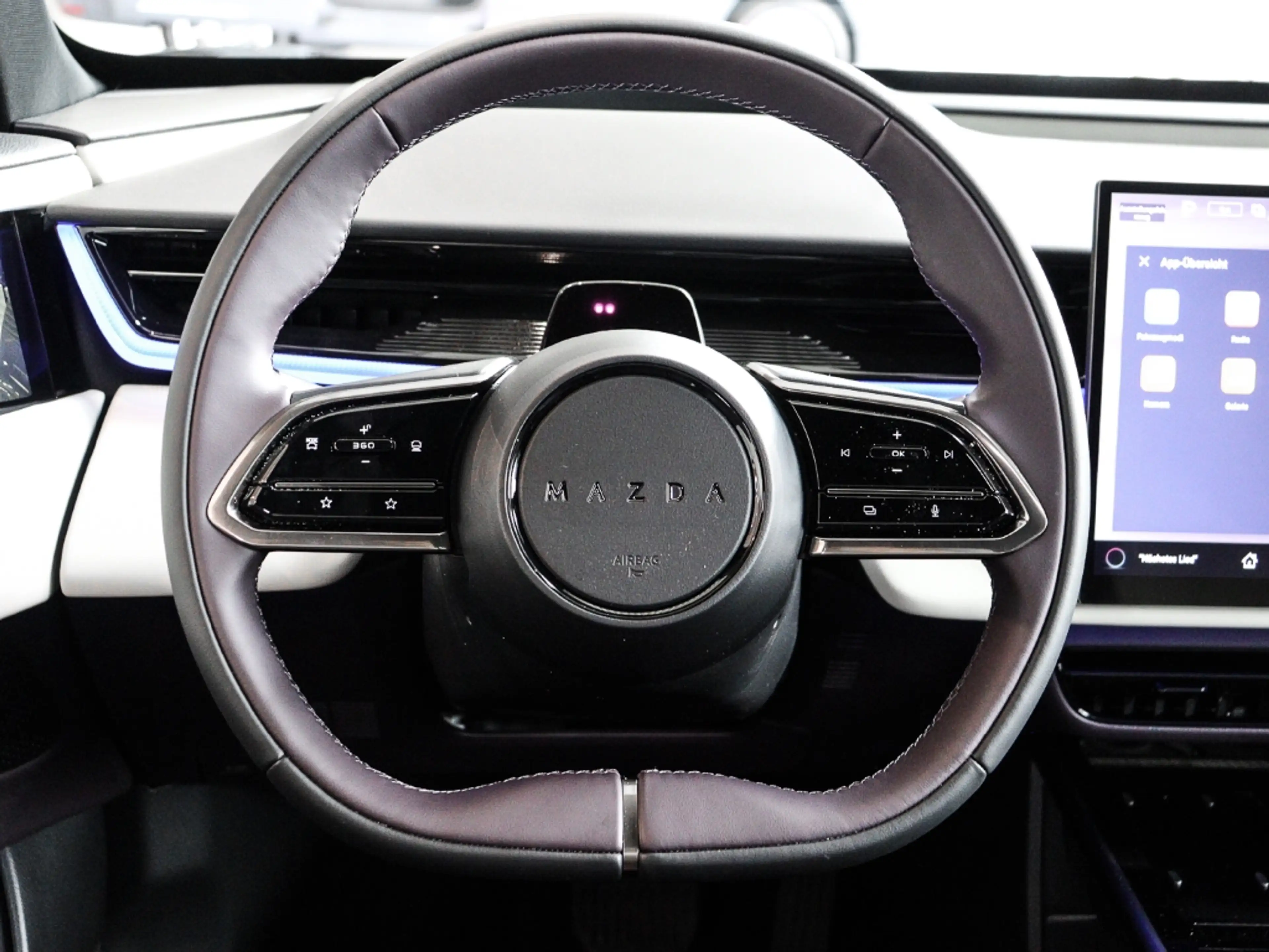 Mazda CX-6e EV 258ps 1AT RWD Takumi BKTR PABS 21'' — photo 8