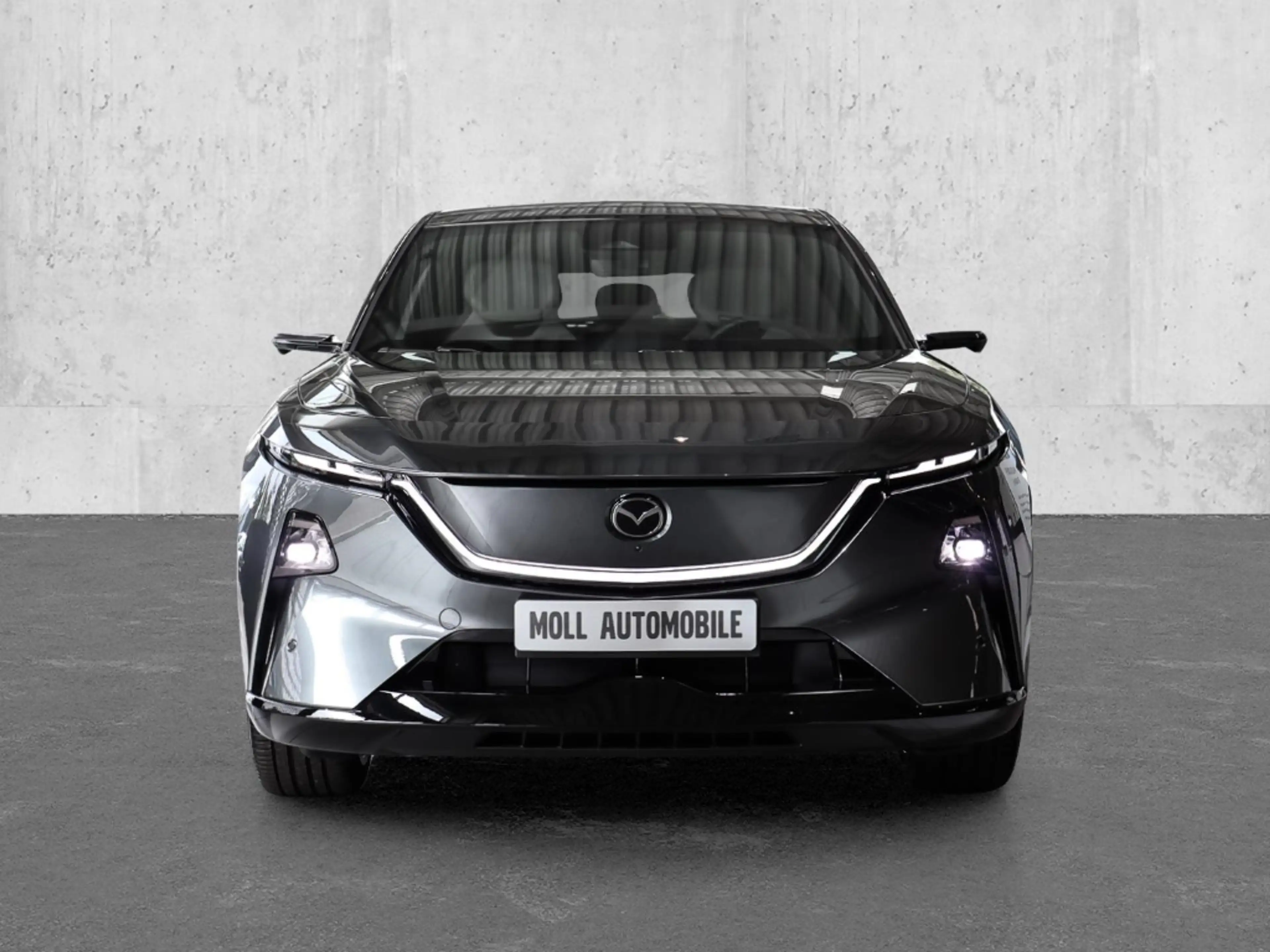 Mazda CX-6e EV 258ps 1AT RWD Takumi BKTR PABS 21'' — photo 3