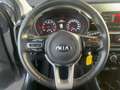 Kia Picanto 1.0 Edition Dream Team SHZ+LM+Facelift Grau - thumbnail 8