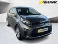 Kia Picanto 1.0 Edition Dream Team SHZ+LM+Facelift Grau - thumbnail 4